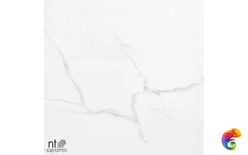 Керамогранит BK6NTT9402P NTT9402 60x60