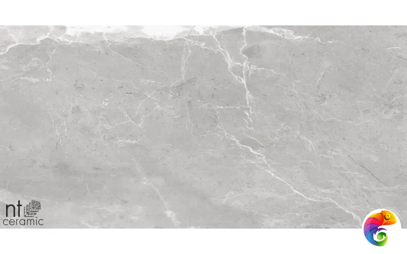 Керамогранит NS612NTT9026L Slate Grey 60x120