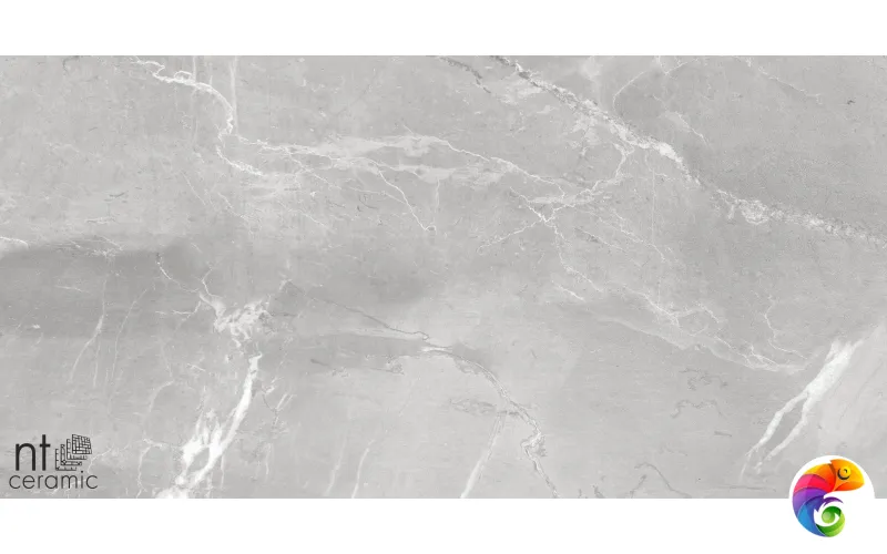 Керамогранит NS612NTT9026L Slate Grey 60x120