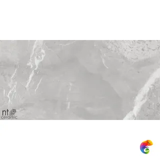 Slate Grey 60x120 NS612NTT9026L