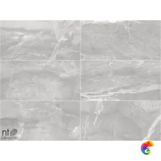Slate Grey 60x120 NS612NTT9026L