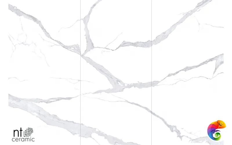 Керамогранит NTT3008P Bianco Statuario 120x240