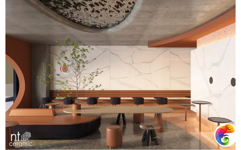 Керамогранит NTT3008P Bianco Statuario 120x240