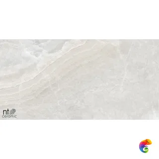 Onyx Frazil Ice 60x120 NTT99502P