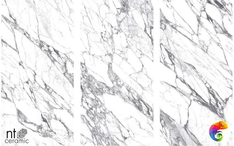 Керамогранит NTT3507L Calaсatta Rock 120x270