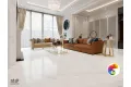 Керамогранит NTT99525P Empire Pearl Endless 60x120