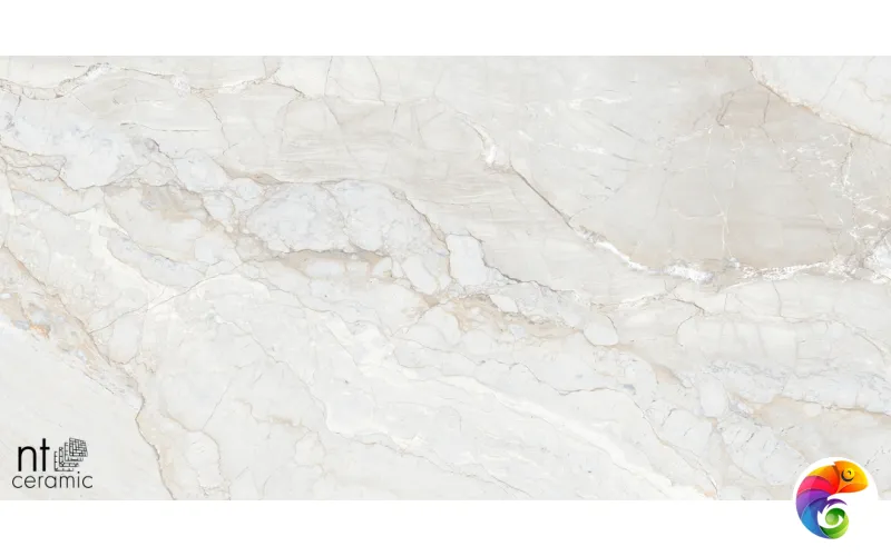 Керамогранит NTT99508P Gravel White 60x120