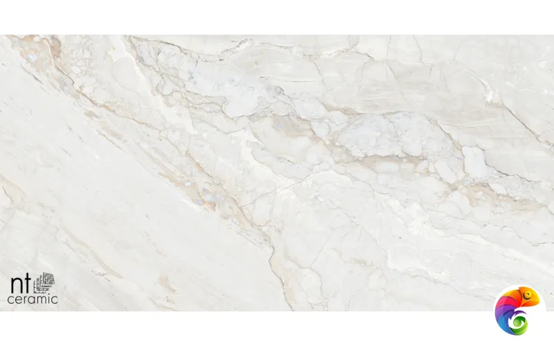 Керамогранит NTT99508P Gravel White 60x120