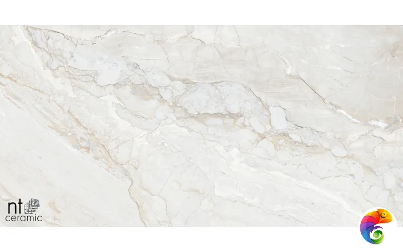 Керамогранит NTT99508P Gravel White 60x120