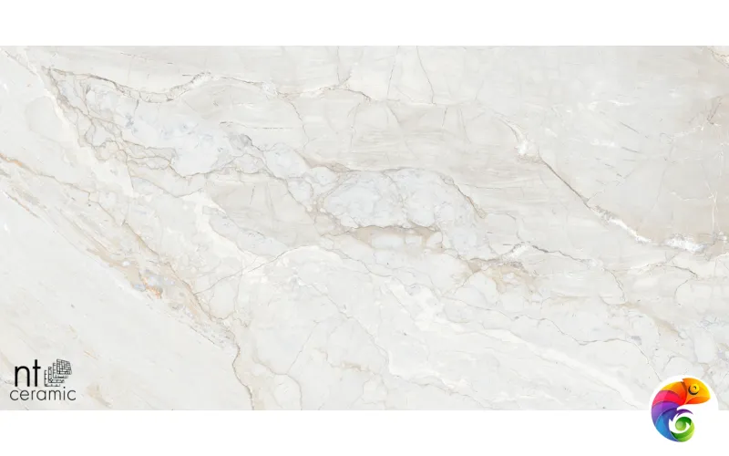 Керамогранит NTT99508P Gravel White 60x120
