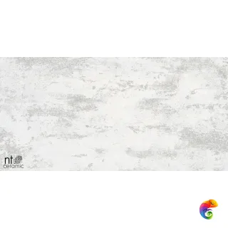 Metallic  White 60x120 NTT99609M