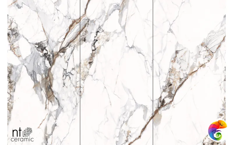 Керамогранит NTT3005P Breccia Capria 120x240