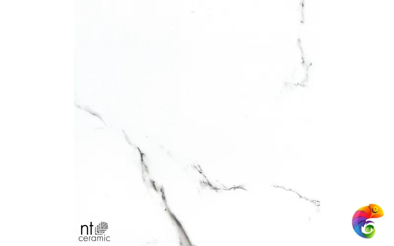 Керамогранит BB612NTT9100P NTT9100 60x120