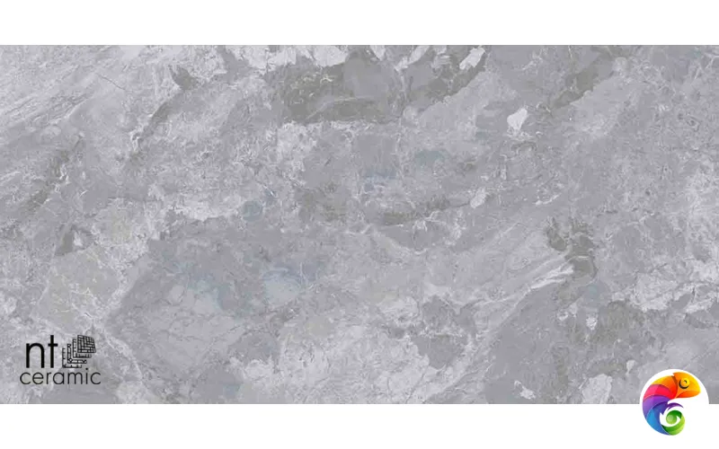 Керамогранит NTT9115 Cosmic grey 60x120