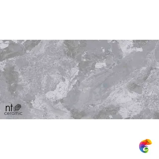 Cosmic grey 60x120 NTT9115