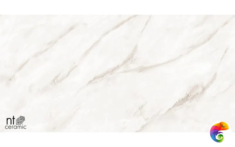 Керамогранит NTT99525P Empire Pearl Endless 60x120