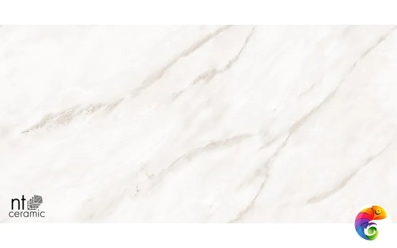 Керамогранит NTT99525P Empire Pearl Endless 60x120