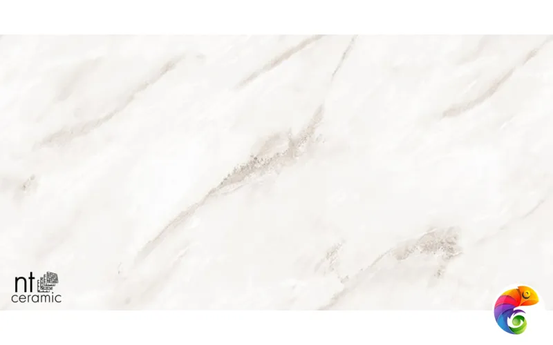 Керамогранит NTT99525P Empire Pearl Endless 60x120