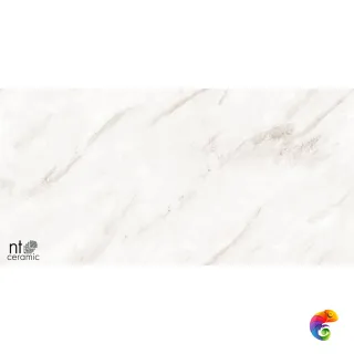 Empire Pearl Endless 60x120 NTT99525P