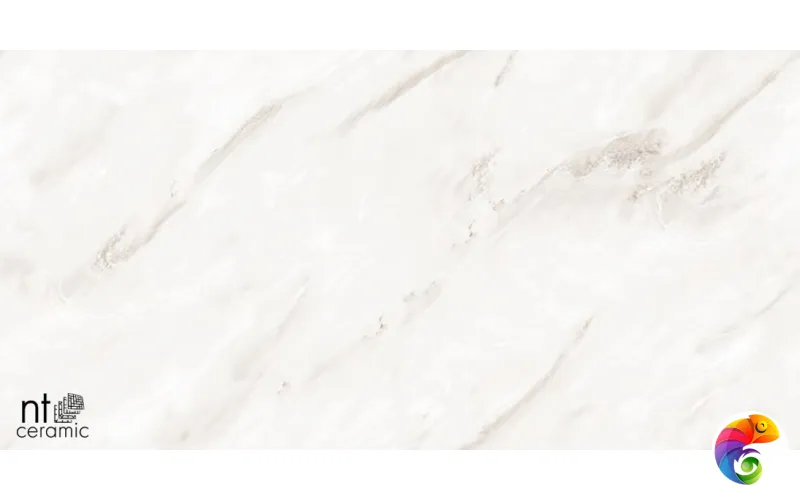 Керамогранит NTT99525P Empire Pearl Endless 60x120