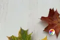 Коллекция Brizzo Realistik