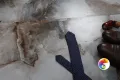Коллекция Effecto Realistik