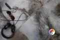 Коллекция Effecto Realistik