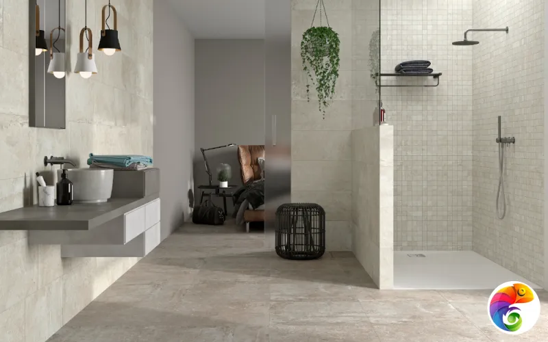 Коллекция Etienne Argenta