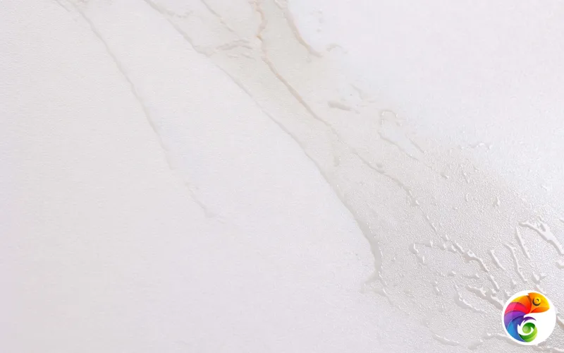 Коллекция Clear Realistik