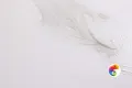 Коллекция Clear Realistik