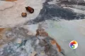 Коллекция Greta Geotiles