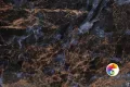 Коллекция Damask Realistik