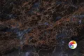 Коллекция Damask Realistik
