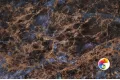 Коллекция Damask Realistik