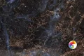 Коллекция Damask Realistik
