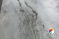 Коллекция Bonzano Realistik