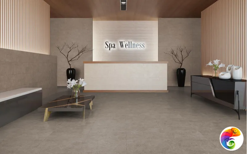 Коллекция Light Stone Argenta