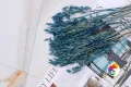 Коллекция Miami Realistik
