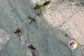 Коллекция Angle Realistik