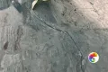 Коллекция Angle Realistik