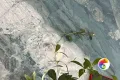 Коллекция Angle Realistik