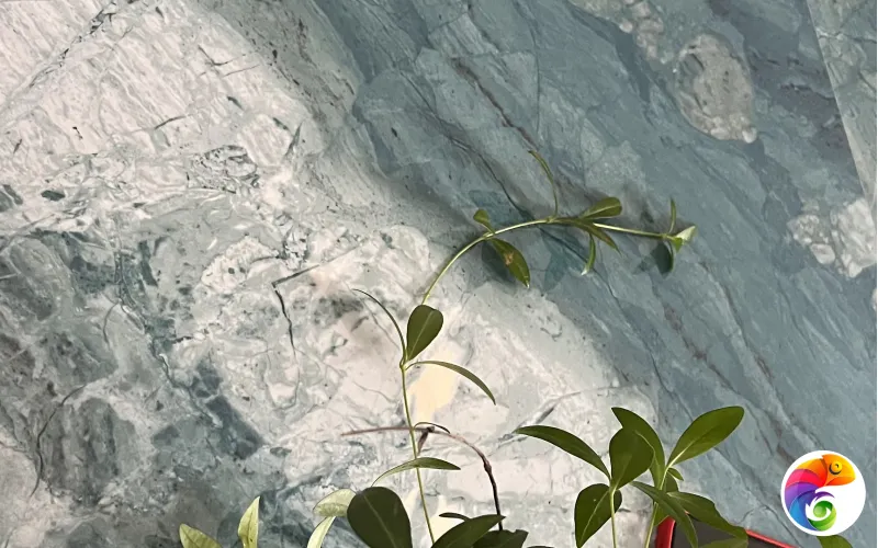 Коллекция Angle Realistik