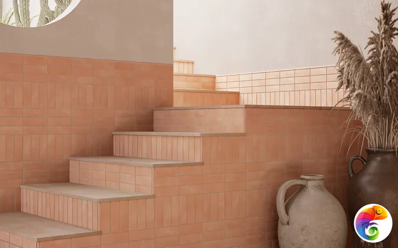 Коллекция Bow DNA