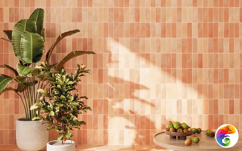 Коллекция Bow DNA