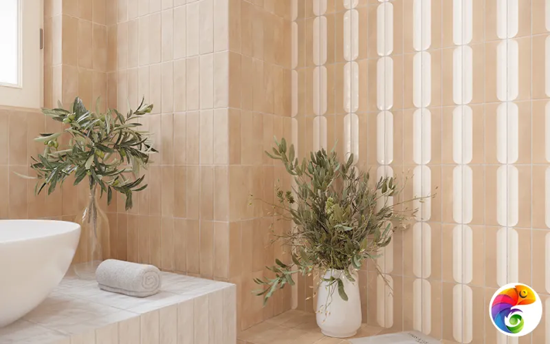 Коллекция Bow DNA