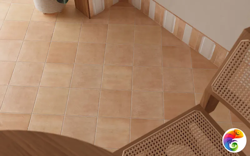 Коллекция Bow DNA