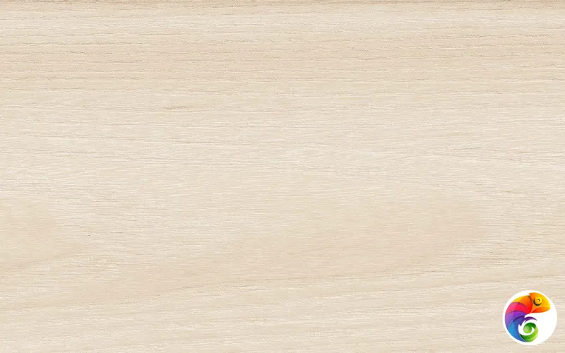 Коллекция Dream Realistik