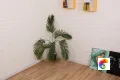 Коллекция Berlin Realistik