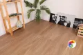 Коллекция Pietra Realistik