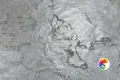 Коллекция Eva Realistik